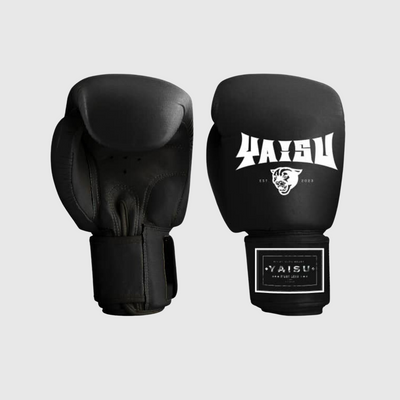 Muay Thai Gloves.
