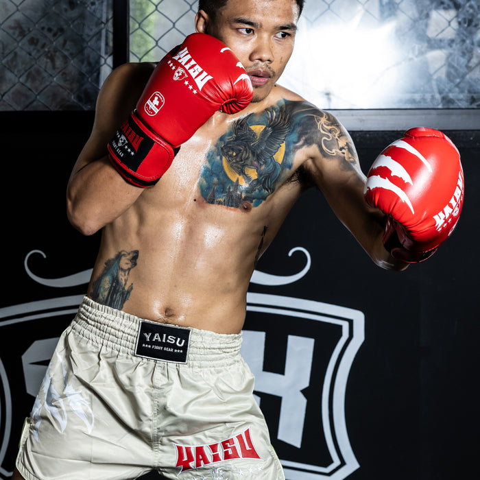 Yaisu boxing gloves