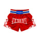 Muay Thai Shorts - T Flag